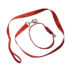 Nylon Dog Collar Set